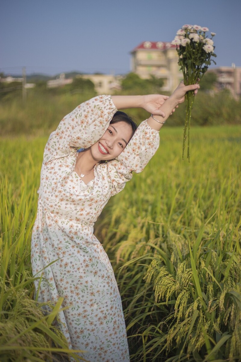 稻田守望者
