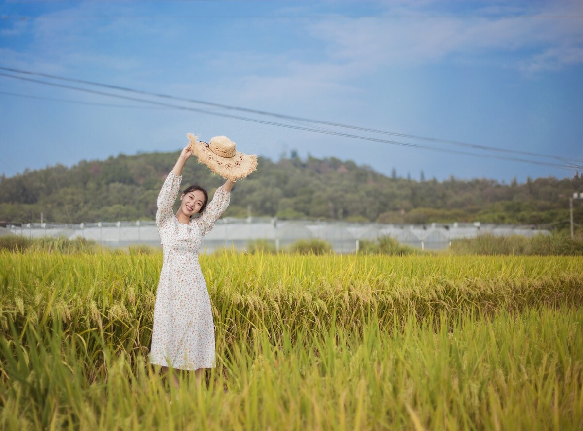 稻田守望者