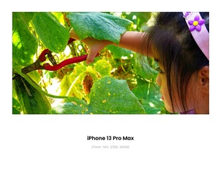 7EA192A3-26D6-4053-A212-2672DD7982F2/L0/001