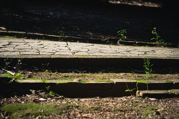 1000117441