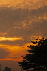 6E559BEA-DAED-4F48-AB7F-B1CC95AB645C/L0/001
