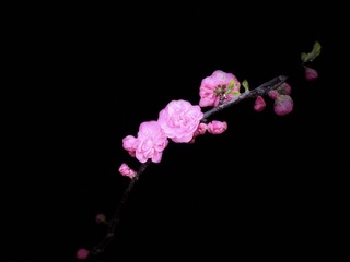 E9CA476B-8A7E-471B-A1DA-27A32DF84F28/L0/001