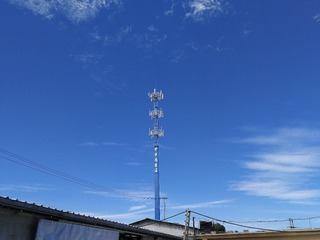 254025