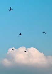 2F89D52D-402F-4AF7-89AC-28CFCAED9E2E/L0/001