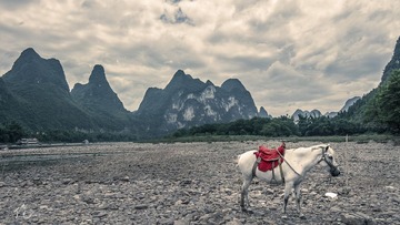 IMG_5502.jpg