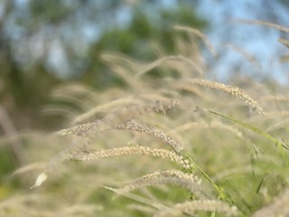 2978D6AB-E63C-4D30-BD16-0EB5A01AC805/L0/001