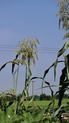025D23CE-E1C9-45D8-88D7-FDD9D7FBF9BC/L0/001
