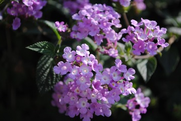 820D074E-7936-4508-83AE-561A33DAFDB3/L0/001
