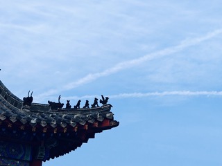 1000004744