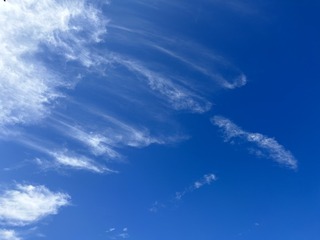 BE236830-73FA-4B93-BA67-31C858CA21AD/L0/001