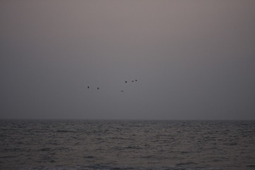 3F82002C-FBEF-487D-833C-E39B2EC87BD5/L0/001