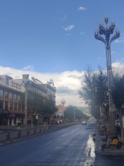 1000033517