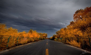 _DSC7927x.jpg