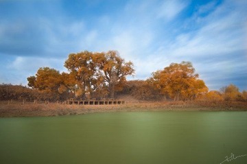_DSC7883x.jpg