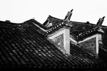 _DSC1429x