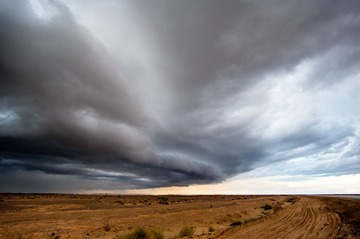 _DSC7975