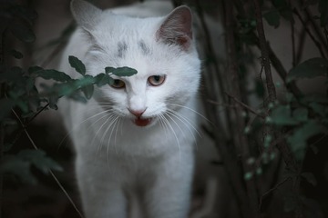 G-_DCIM_101ND800_DSC_9095x