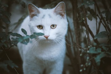 G-_DCIM_101ND800_DSC_9097x