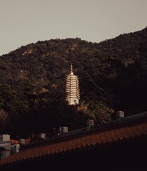 1000030341