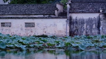 71222A30-35DC-4A72-8583-8DA0C98CA8D4/L0/001