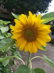 1220267