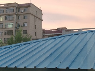 1000008599