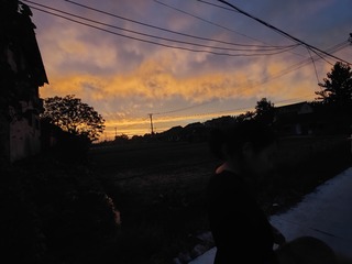 1000009512