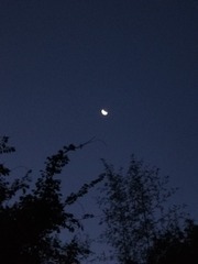 1388078