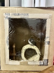 391259C2-53EB-4100-8E08-803891AC90F8/L0/001