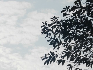 1000018829