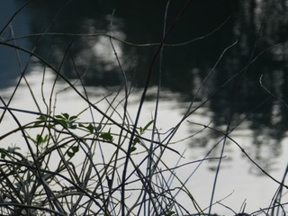 1000018857