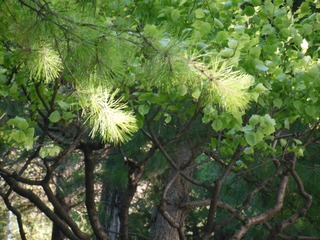 D59DD9D9-3972-4E8F-AC87-B53476ADF827/L0/001