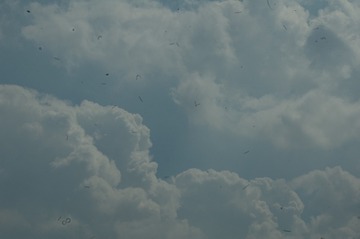 30702