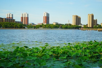 20001