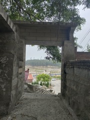 1000098809