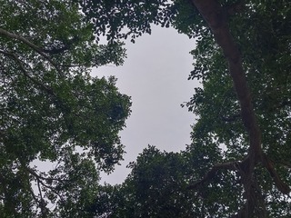 1000098804