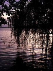 DA868C65-9632-4512-BA47-9F7120F9455F/L0/001