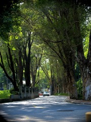 6F6592E4-8DAA-4A0E-8564-290B103EB958/L0/001