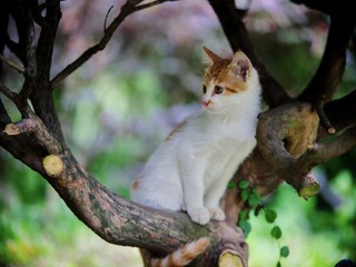 0F1B08FF-5B89-4E6E-81CC-1A6E92591E76/L0/001