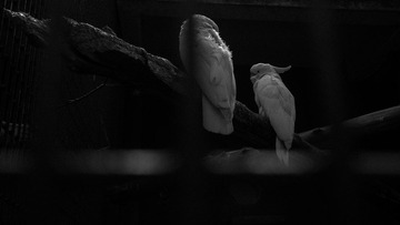 P1110732-2.jpg
