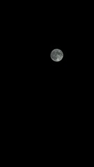 7C35E276-8021-4EB4-AD17-47334A715433/L0/001