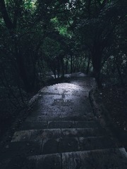 1000103923
