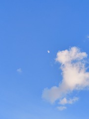 1000053772