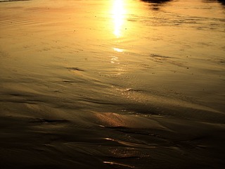 IMG_09331.jpg