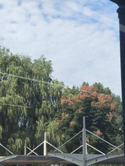 1000006591