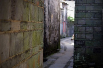 IMGP2060.JPG