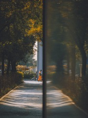 1000086275