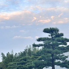 33E4CD7A-3B51-45C6-A794-E2F1F2E23C64/L0/001