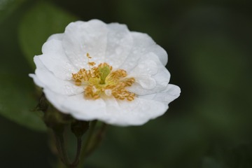 20150510_4325