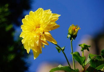 20120909-20120909-_DSC1679.jpg
